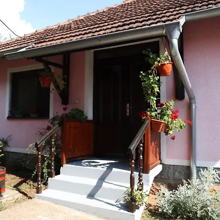 Apartment Nana Gornji Milanovac