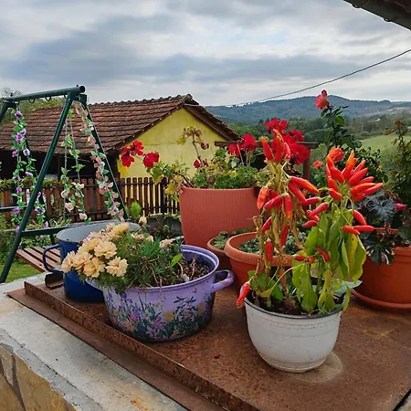 Nana Daire Gornji Milanovac