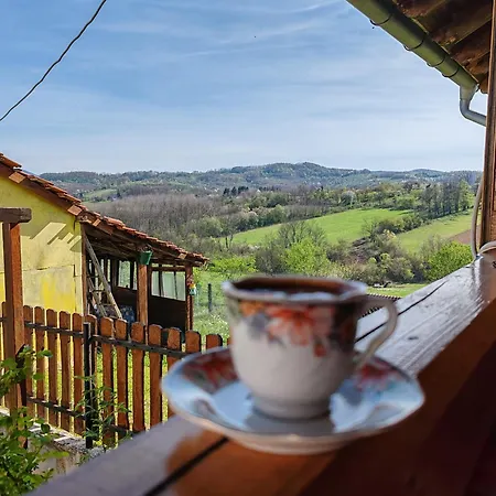 Nana Daire Gornji Milanovac