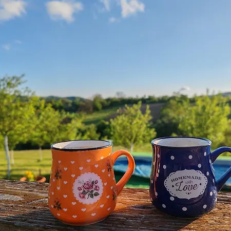 Daire Nana Gornji Milanovac